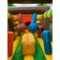 Springkasteel 'jungle leeuw'